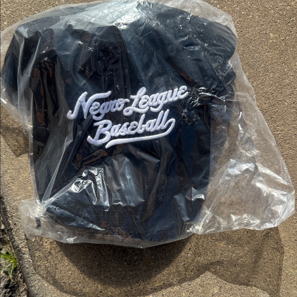 Roots of Fight Officially Licensed Negro League Baseball Script Adjustable Hat - Picture 2 of 3